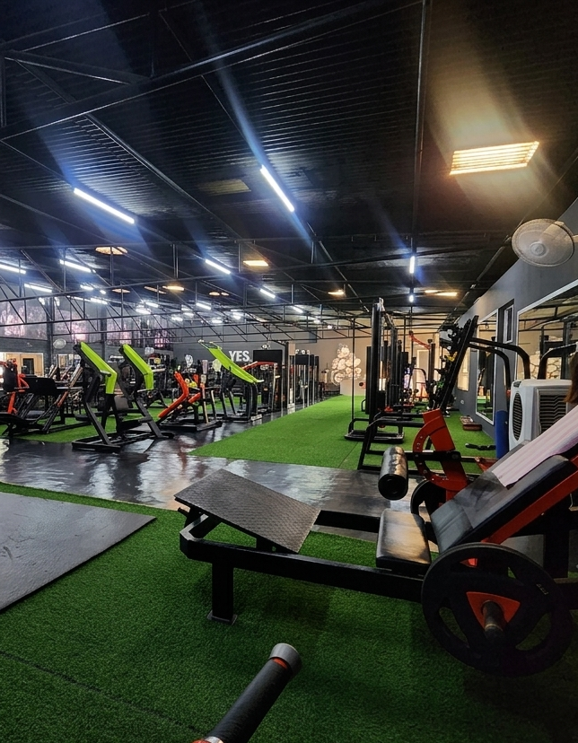 EnergyM Gym members